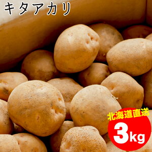 今季出荷開始！越冬じゃがいも 送料無料 北海道産 キタアカリ【Mサイズ以上】1箱3キロ入り【越冬じゃが 3kg 3キロ 3キロ 3kg きたあかり 北あかり ジャガイモ 薯 芋 北海道 まとめ買い 野菜 秋野菜】