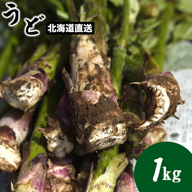 今季出荷中送料無料 幻の山菜 北海道産 天然山ウド1.0kg入り【1kg 1キロ 北海道産 天然 山菜 うど ウド 山うど 山ウド 春の味覚 山菜 新鮮直送 産直 旬の味覚】