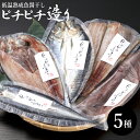 お中元 干物 ギフト 送料無料 干物 ピチピチ造り 北海干物5点セット / 御中元 夏ギフト 内祝い お返し 出産内祝い 結婚内祝い 贈り物 ギフトセット グル...