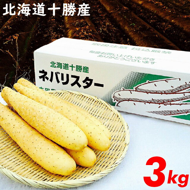 とろろいも トロロ やまいも今季出荷開始中送料無料 北海道産 長芋 新世代野菜 ネバリスター(3kg)