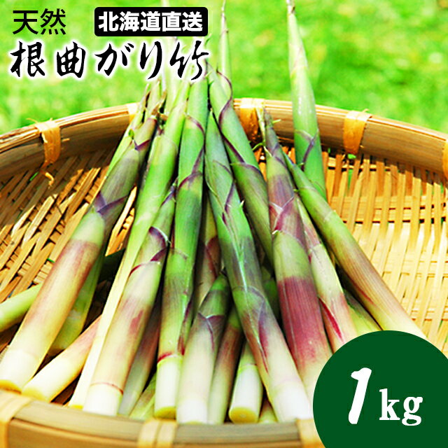 今季出荷中送料無料 幻の山菜 北海道産 天然竹の子1.0kg入り【北海道産 根曲がり竹 ネマガリタケ 天然 竹の子 千島笹 ササ 山菜 さんさい タケノコ たけのこ 旬の味覚 旬の味 産直 春の味覚 期間限定 春季限定 数量限定】