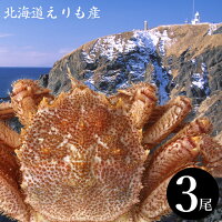 北海道グルメ|海の幸 北海道 蟹(かに/カニ) えりも活蒸し毛蟹