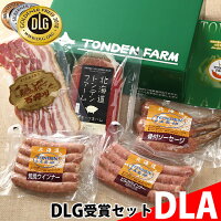 お中元 ハム ギフト 送料無料 北海道 トンデンファーム DLG受賞 セット(TF-DLA)【ベーコン ソーセージ 詰め合わせ ギフトセット 内祝 御祝い 出産内祝い 御礼 受賞 人気】[card]