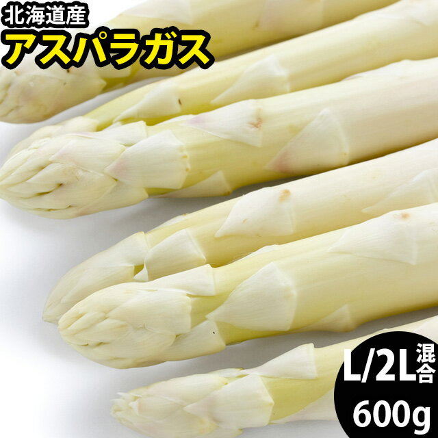 2022年ご予約承り中 4月出荷開始送料無料 北海道産 アスパラガス ホワイトアスパラ 600g 秀品(2L/Lサイズ限定)【旬野菜 BBQ 春野菜 アスパラ アスパラガス ホワイトアスパラガス 北海道産 野菜】