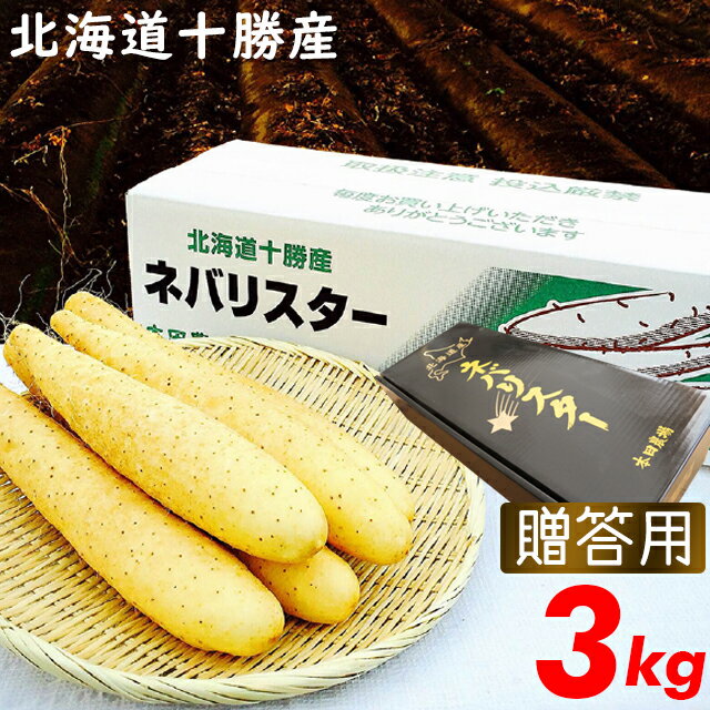 父の日 野菜 ギフト送料無料【贈答用】北海道産 長芋 新世代野菜 ネバリスター(3kg)【父の日ギフ ...