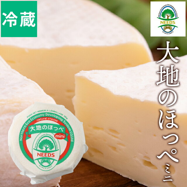 チーズ ギフト北海道 チーズ工房 NEE