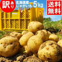 【出荷中】新じゃが 新じゃがいも 送料無料 訳あり 北海道産じゃがいも(5kg) / 新 じゃが 新じゃが 5kg 5キロ 5キロ じゃがいも ジャガイモ イモ...