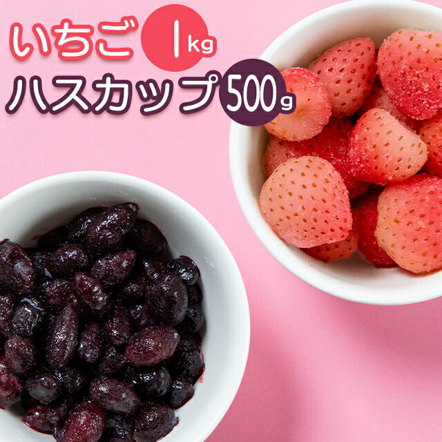 冷凍 フルーツ いちご送料無料 北海道日高産 冷凍いちご1kg 千歳産 冷凍ハスカップ500g セット【冷凍 フルーツ 果物 保存 常備 便利 無添加 無着色 フードロス】【SSS_1】