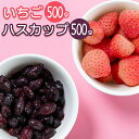 冷凍 フルーツ いちご送料無料 北海道日高産 冷凍いちご500g 千歳産 冷凍ハスカップ500g お試しセット【冷凍 フルーツ 果物 保存 常備 便利 無添加 無着色 フードロス】【SSS_1】