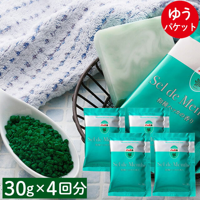 【ゆうパケット/送料無料】北見ハッカ通商 ハッカ湯(30g×4回分)【北海道産 ハッカ油 入浴剤 涼しい クール 冷感 クールタイプ バスグッズ バスフィズ 天然 花粉症対策 花粉症 セット アロマオイル】【KW】