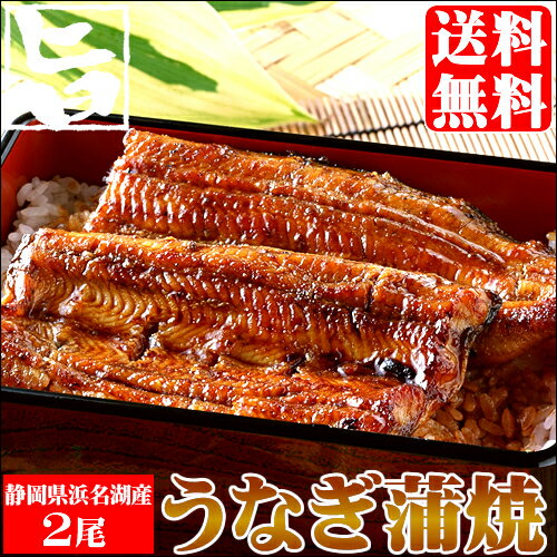 【ポイント2倍★16日(水)01：59まで！】ギフト うなぎ 蒲焼き送料無料 静岡県浜松・浜名湖産うなぎセット（2尾）【国産 高級 国産うなぎ 国産ウナギ 鰻 うな丼 うな重 蒲焼き 白焼き グルメ 詰め合わせ お取り寄せ 土用の丑】【0109P2】