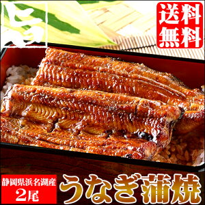 【ポイント2倍★16日(水)01：59まで！】ギフト うなぎ 蒲焼き送料無料 静岡県浜松・浜名湖産うなぎセット（2尾）【国産 高級 国産うなぎ 国産ウナギ 鰻 うな丼 うな重 蒲焼き 白焼き グルメ 詰め合わせ お取り寄せ 土用の丑】【0109P2】