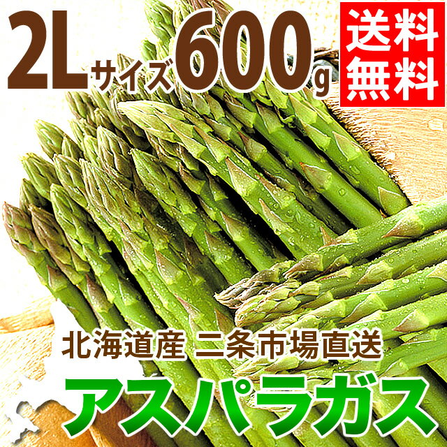 送料無料 北海道産 アスパラガス 600g(2Lサイズ限定)【2Lサイズ 大きいサイズ アスパラ あすぱら アスパラガス グリーンアスパラ お取り寄せ ギフト 旬 産地直送 道産 野菜 産直 極太 春野菜 おいしい 旬菜 取り寄せ】