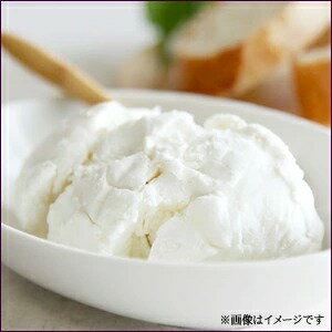 よつ葉 北海道限定 チーズ北海道十勝クリームチーズ1kg【お得用サイズ 業務用 よつば よつ葉乳業 直送 バター 乳製品 ミルク 単品 まとめ買い 自宅用 ジャム お菓子 材料 菓子パン】
