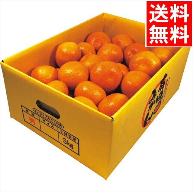 お歳暮 フルーツ ギフト送料無料 和歌山県産 有田みかん(3kg)【御歳暮 歳暮 お歳暮ギフト 内祝い お返し 食べ物 果物 くだもの 国産 国内産 ご当地 グルメ 名産 セット 詰め合わせ 贈り物 結婚内祝い 出産内祝い 御祝い 誕生日 プレゼント】のサムネイル