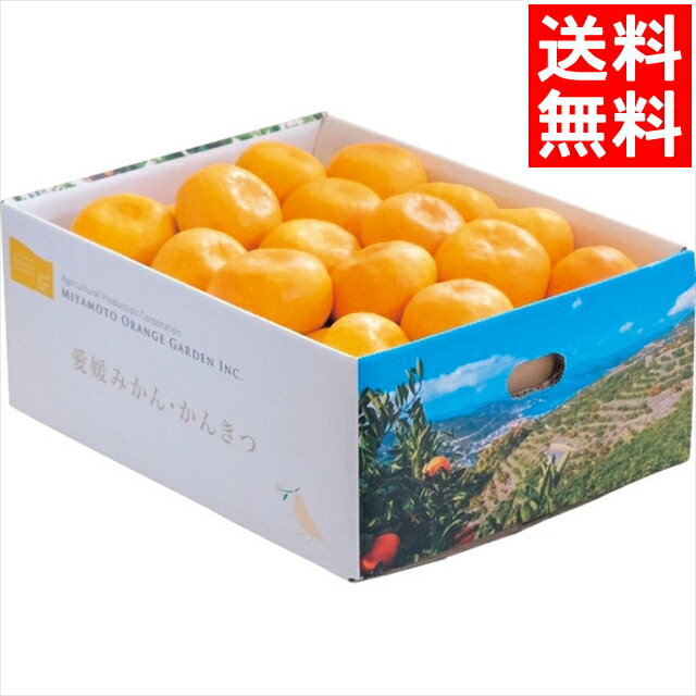 お歳暮 フルーツ ギフト送料無料 愛媛県西宇和産 温州みかん(3kg)【御歳暮 お歳暮ギフト 冬ギフト 内祝い お返し 果物 フルーツ詰め合わせ 詰め合わせ 詰合せ セット ギフトセット 贈り物 お礼 挨拶 のし 熨斗 のし対応 熨斗対応】