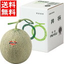お中元 フルーツ ギフト 送料無料 北海道産 JA夕張 夕張メロン(1玉) / 御中元 夏ギフト 暑中見舞い メロン メロン 赤肉メロン 完熟 国産 国内産 旬...