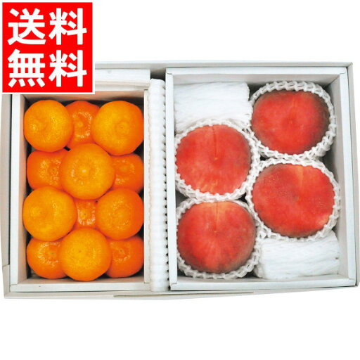 お中元 フルーツ ギフト送料無料 光センサー桃&ハウスみかん【御中元 夏ギフト 暑中見舞い フルーツ盛り フルーツ詰め合わせ フルーツ盛り 果物セット フルーツセット 国産 国内産 人気 贈答用 ギフトセット 内祝い お祝い 御祝い 熨斗対応 のし対応】 お中元 フルーツ ギフト送料無料 光センサー桃&ハウスみかん【御中元 夏ギフト 暑中見舞い フルーツ盛り フルーツ詰め合わせ フルーツ盛り 果物セット フルーツセット 国産 国内産 人気 贈答用 ギフトセット 内祝い お祝い 御祝い 熨斗対応 のし対応】