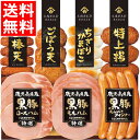 お中元 ハム ギフト送料無料 鹿児島県産黒豚ハム さつまあげセット(KKS-300N)【御中元 夏ギフト 暑中見舞い ハムセット ソーセージ 生ハム セット 詰...