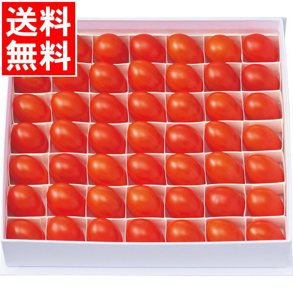 お中元 フルーツ ギフト送料無料 オスミック ファースト プリンセス(450g)【御中元 夏ギフト 暑中見舞い トマト ミニトマト 高糖度 リコピン 野菜 旬 夏野菜 赤トマト 人気 贈答用 ギフトセット 内祝い お祝い 御祝い 出産内祝い 熨斗対応 のし対応】