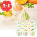 母の日 スイーツ アイス【母の日専用】送料無料 山田養蜂場 はちみつと野菜のやさしいジェラート(9個)【ギフト プレゼント スイーツ 9個 お菓子 洋菓子 アイ...