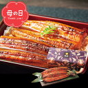 母の日 ギフト グルメ【母の日専用】送料無料 大森淡水 国産うなぎ蒲焼(長焼2尾)【母の日の贈り物 プレゼント グルメセット 2人前 二人前 惣菜 総菜 食べ物...
