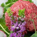 敬老の日 惣菜 ギフト 送料無料 桜うまトロ&馬肉ユッケ (SY-3) / プレゼント 残暑見舞い 内祝い お返し 出産内祝い セット 詰め合わせ 詰合せ 肉 ...