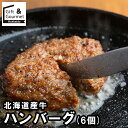 敬老の日 ハンバーグ ギフト 送料無料 北海道産牛ハンバーグ(6個)(SK-14) / プレゼント 残暑見舞い 内祝い お返し 出産内祝い セット 詰め合わせ ...