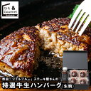 敬老の日 ハンバーグ ギフト 送料無料 奈良 「シェルブルー」 山口シェフ監修 ステーキ屋さんの特選牛生ハンバーグ(生駒) / プレゼント 残暑見舞い 内祝い ...
