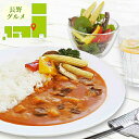 お中元 惣菜 ギフト 送料無料 長野 信州カレーギフト(SZ-360) / 御中元 夏ギフト 暑中見舞い 内祝い お返し 出産内祝い セット 詰め合わせ 詰合せ 肉 肉加工品 お肉 肉惣菜 肉料理 ブランド 有名店 手軽 簡単 本格 お祝い 出産内祝い のし対応 熨斗対応