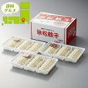内祝い 惣菜 ギフト送料無料 静岡 浜松餃子(HG3)【母の日 プレゼント お返し 出産内祝い 結婚内祝い 餃子 ぎょうざ ギョーザ 弁当 おかず セット 詰め...