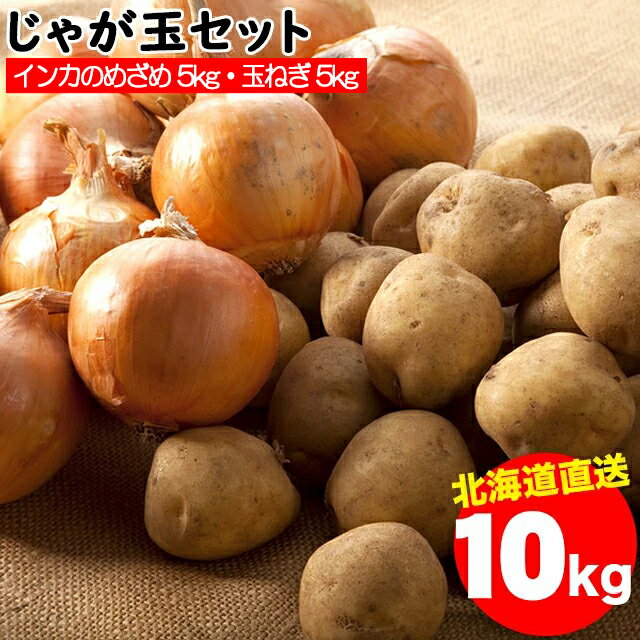 今季出荷開始！越冬じゃがいも 送料無料 北海道産 じゃが玉セット インカのめざめ 5kg(Sサイズ以上)＆玉ねぎ 5kg(L〜L大) 合計10kg【越冬じゃが 10キロ 10キロ 10kg 秋野菜 ジャガイモ いんかのめざめ 】のサムネイル