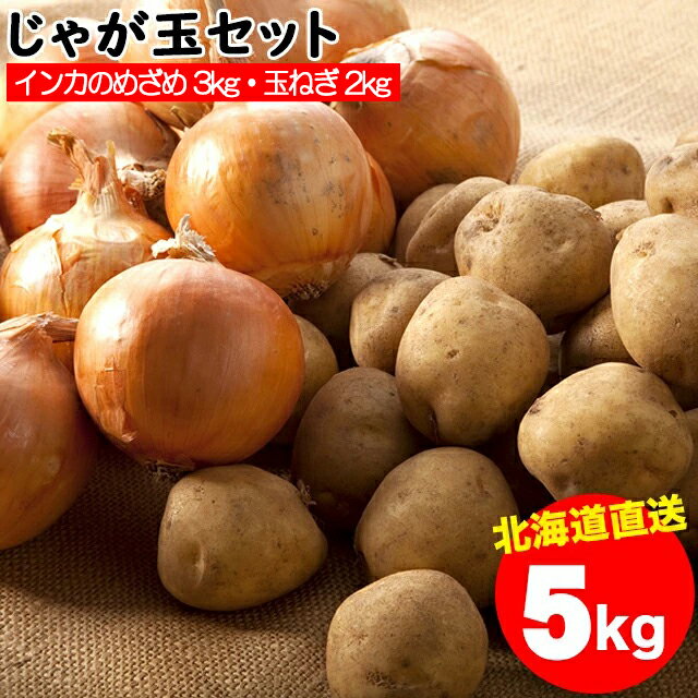 今季出荷開始！越冬じゃがいも 送料無料 北海道産 じゃが玉セット インカのめざめ 3kg(Sサイズ以上)＆玉ねぎ 2kg(L〜L大) 合計5kg【越冬じゃが 5キロ 5キロ 5kg 秋野菜 ジャガイモ インカの目覚め】のサムネイル