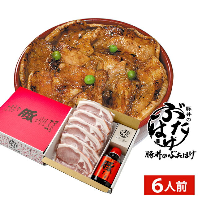 鹿児島県産黒豚使用 ロース味噌漬（110g×5）【送料無料（代引不可）】
