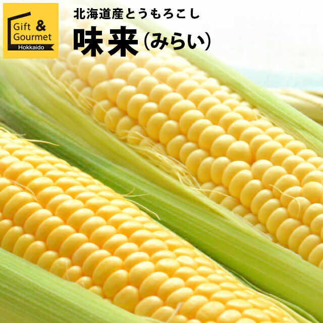 2024年 予約受付中 8月頃出荷開始とうもろこし 北海道 送料無料 北海道産 味来【未来 トウモロコシ とうきび 北海道産 北海道直送 夏 旬 イエロー系 果物 フルーツ 産地直送 北海道 みらい ミライ ゴールド】