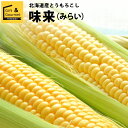 2024年 予約受付中 8月頃出荷開始とうもろこし 北海道 送料無料 北海道産 味来【未来 トウモロ ...