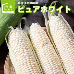 https://thumbnail.image.rakuten.co.jp/@0_mall/hokkaido-gourmation/cabinet/syouhin/corn/npr_purew.jpg