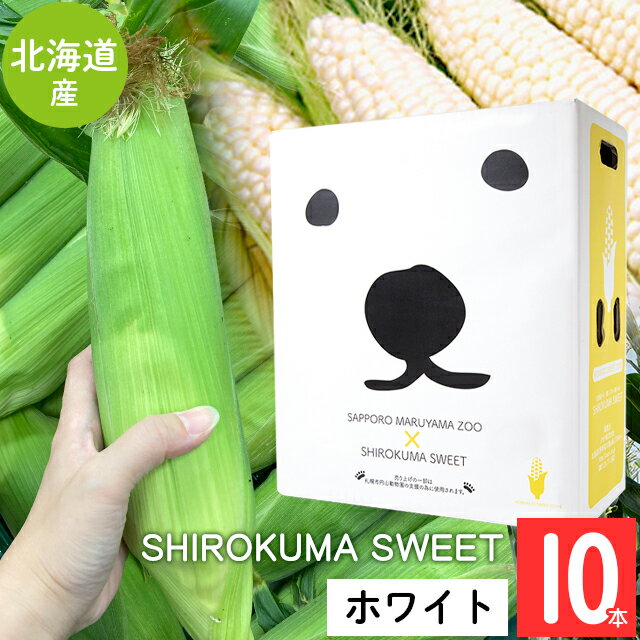 2023年ご予約承り中 8月出荷開始とうもろこし 送料無料 SHIROKUMA SWEET 北海道産 ホワイトコーン 10本【ピュアホワイト ホワイトショコラ トウモロコシ とうきび 産地直送 円山動物園 シロクマ しろくま SHIROKUMA 白クマ】 ggho gghpのサムネイル