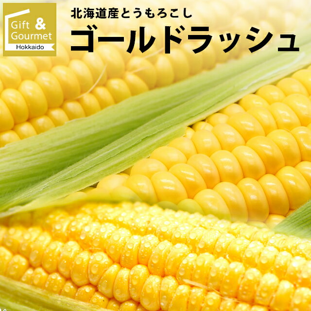 2024年 予約受付中 9月頃出荷開始とうもろこし 北海道 送料無料 北海道産 ゴールドラッシュ【イエロー系 甘い 人気品種 とうきび トウモロコシ 新鮮直送 新鮮 直送 おいしい スイーツ 旬 フルーツ 新鮮直送 黄色系 新鮮 直送 人気】