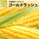 2024年 予約受付中 9月頃出荷開始とうもろこし 北海道 送料無料 北海道産 ゴールドラッシュ【イエロー系 甘い 人気品種 とうきび トウモロコシ 新鮮直送 新鮮 直送 おいしい スイーツ 旬 フルーツ 新鮮直送 黄色系 新鮮 直送 人気】