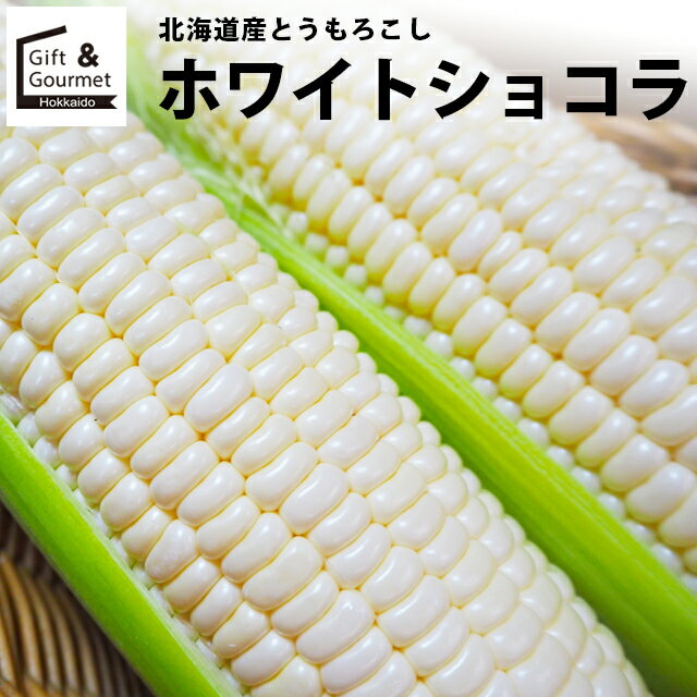 2024年 予約受付中 9月頃出荷開始とうもろこし 北海道 送料無料 北海道産 ホワイトショコラ【トウモロコシ とうきび …