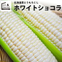 2024年 予約受付中 9月頃出荷開始とうもろこし 北海道 送料無料 北海道産 ホワイトショコラ【トウモロコシ とうきび 白系 ホワイト 白いとうもろこし 北海道直送 旬 果物 フルーツ 新鮮直送 ピュアホワイト系】