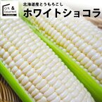 2024年 予約受付中 9月頃出荷開始とうもろこし 北海道 送料無料 北海道産 ホワイトショコラ【トウモロコシ とうきび 白系 ホワイト 白いとうもろこし 北海道直送 旬 果物 フルーツ 新鮮直送 ピュアホワイト系】