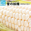 【予約】とうもろこし 北海道 送料無料 北海道産 雪の妖精【トウモロコシ とうきび 南幌 産地直送 新鮮 直送 おいしい 白い ホワイト 旬 白系 果物 フルー...