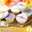 母の日 アイスクリーム ギフト送料無料 桂井養蜂園国産はちみつ使用 北海道産フルーツの無添加アイス 9個セット【母の日 遅れてごめんね プレゼント 内祝い お返...