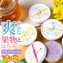 敬老の日 アイス ギフト 送料無料 桂井養蜂園 国産 はちみつ使用 北海道産フルーツの 無添加アイス 12個セット / プレゼント 残暑見舞い 内祝い お返し アイスクリーム 無添加 スイーツ ジェラート 北海道 高級 ハチミツ 蜂蜜 果物 詰め合わせ セット