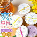 【無添加アイス】敬老の日 アイス ギフト 送料無料 桂井養蜂園 国産 はちみつ使用 北海道産フルーツの無添加アイス 6個セット / プレゼント 残暑見舞い 内祝い お返し アイスクリーム 無添加 スイーツ ジェラート 北海道 高級 ハチミツ 蜂蜜 果物 詰め合わせ セット 孫から