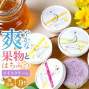 敬老の日 アイス ギフト 送料無料 桂井養蜂園 国産 はちみつ使用 北海道産フルーツの 無添加アイス 9個セット / プレゼント 残暑見舞い 内祝い お返し アイスクリーム 無添加 スイーツ ジェラート 北海道 人気 高級 ハチミツ 蜂蜜 果物 詰め合わせ セット