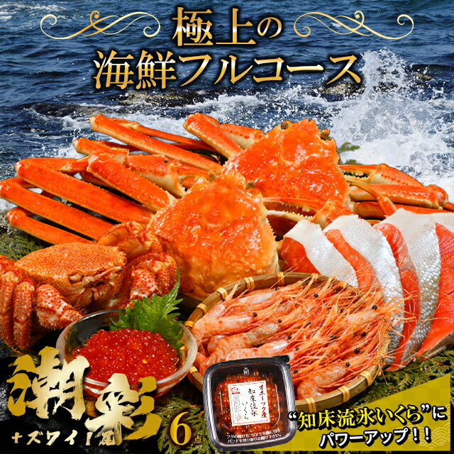 【贈り物にはカニ!】 お歳暮 カニ 海鮮 ギフト 送料無料 特撰 海鮮セットE (潮彩+ズワイガニ一尾セット) / 御歳暮 冬ギフト 内祝い お返し 海鮮セット...