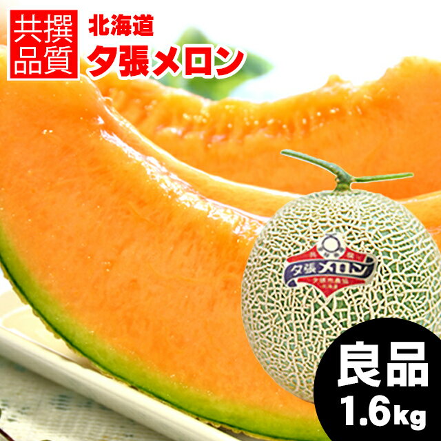 お中元 メロン ギフト 送料無料 北海道 夕張メロン（共撰 良品 約1.6kg/Lサイズ） yumeky